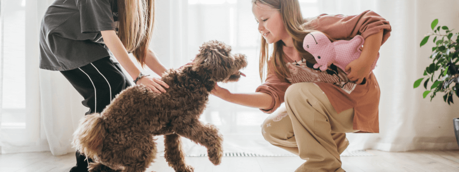 7 Fun Ways to Stimulate Your Dog at Home