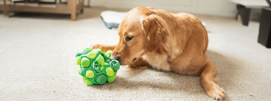 Transform Mealtime Into Brain Training: 8 Genius Food Puzzle Ideas