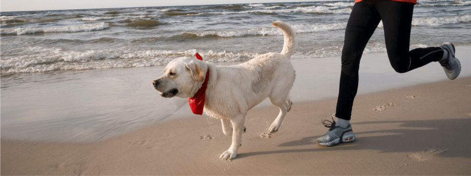 New Year Pawsitive Goals: Healthy Habits for You and Your Dog