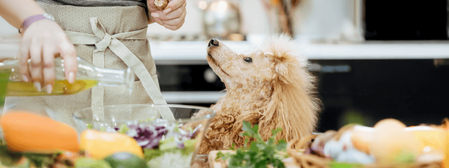 Why Dogs Need Omega-3 and How Much to Give