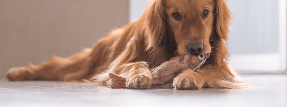 Healthy Skin Starts Within: Why Omega-3 & Vitamin E Are Essential