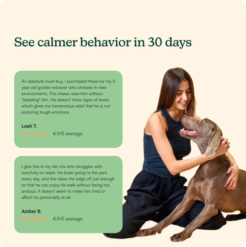 Anytime Calming