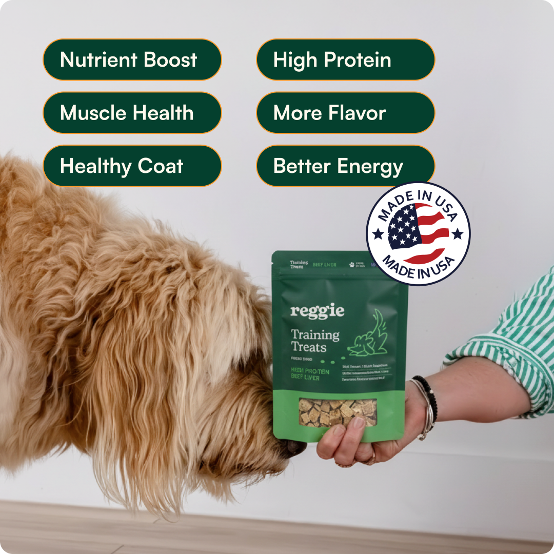 High-Protein Snuffle Mat Bundle