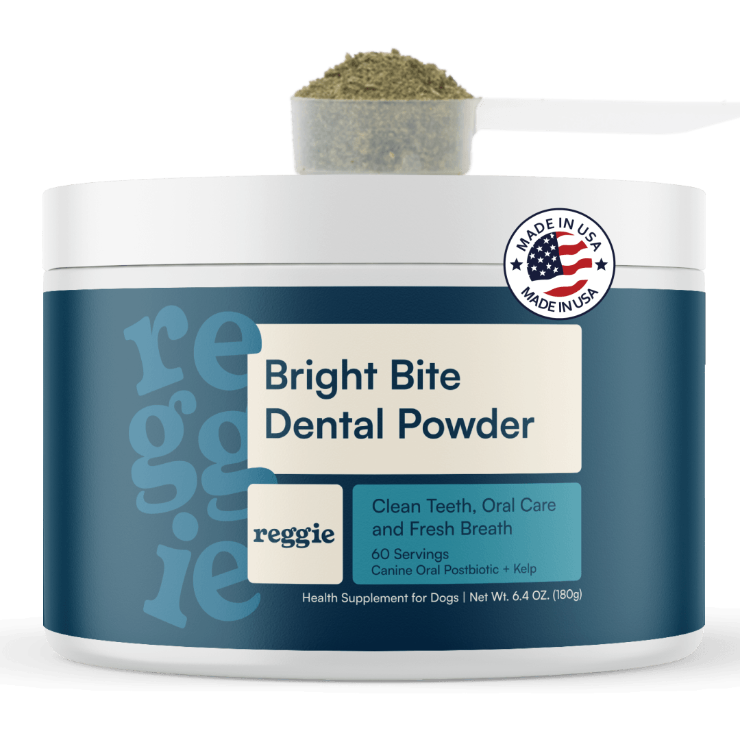 Bright Bite Dental Powder – Oral Health for Dogs | Reggie