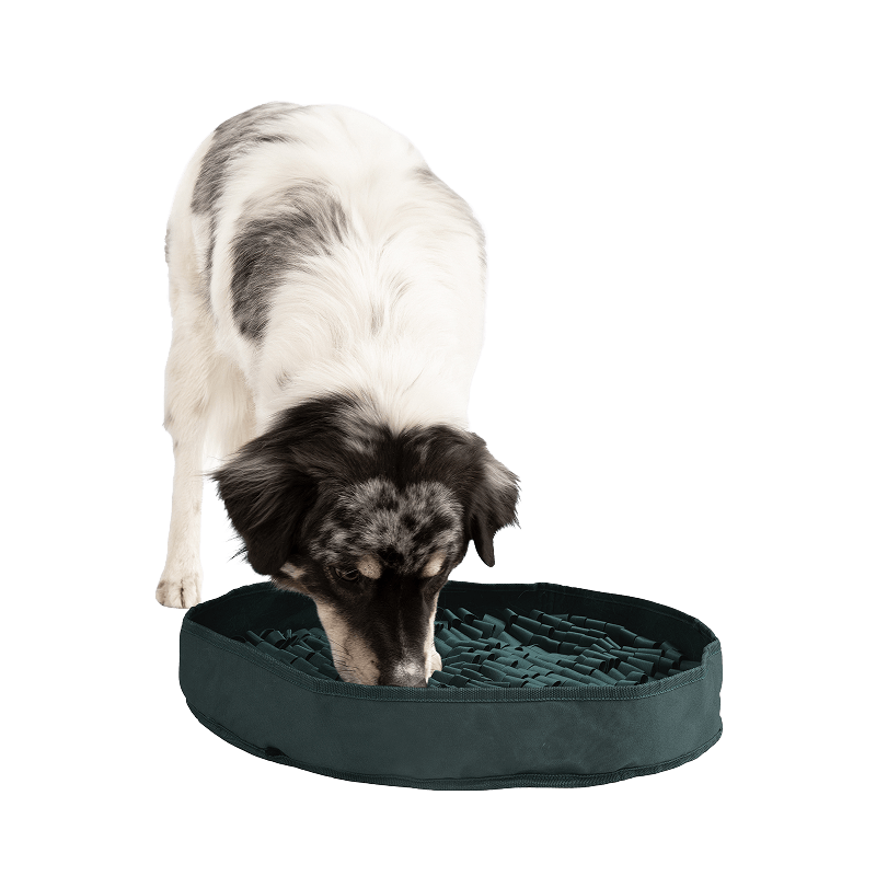 Stimulating Feeder Mat