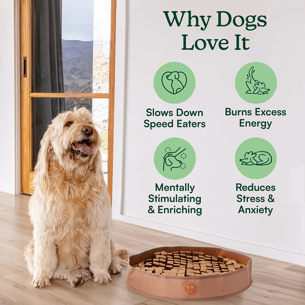 Container of heart-shaped dog chews for skin and coat health.