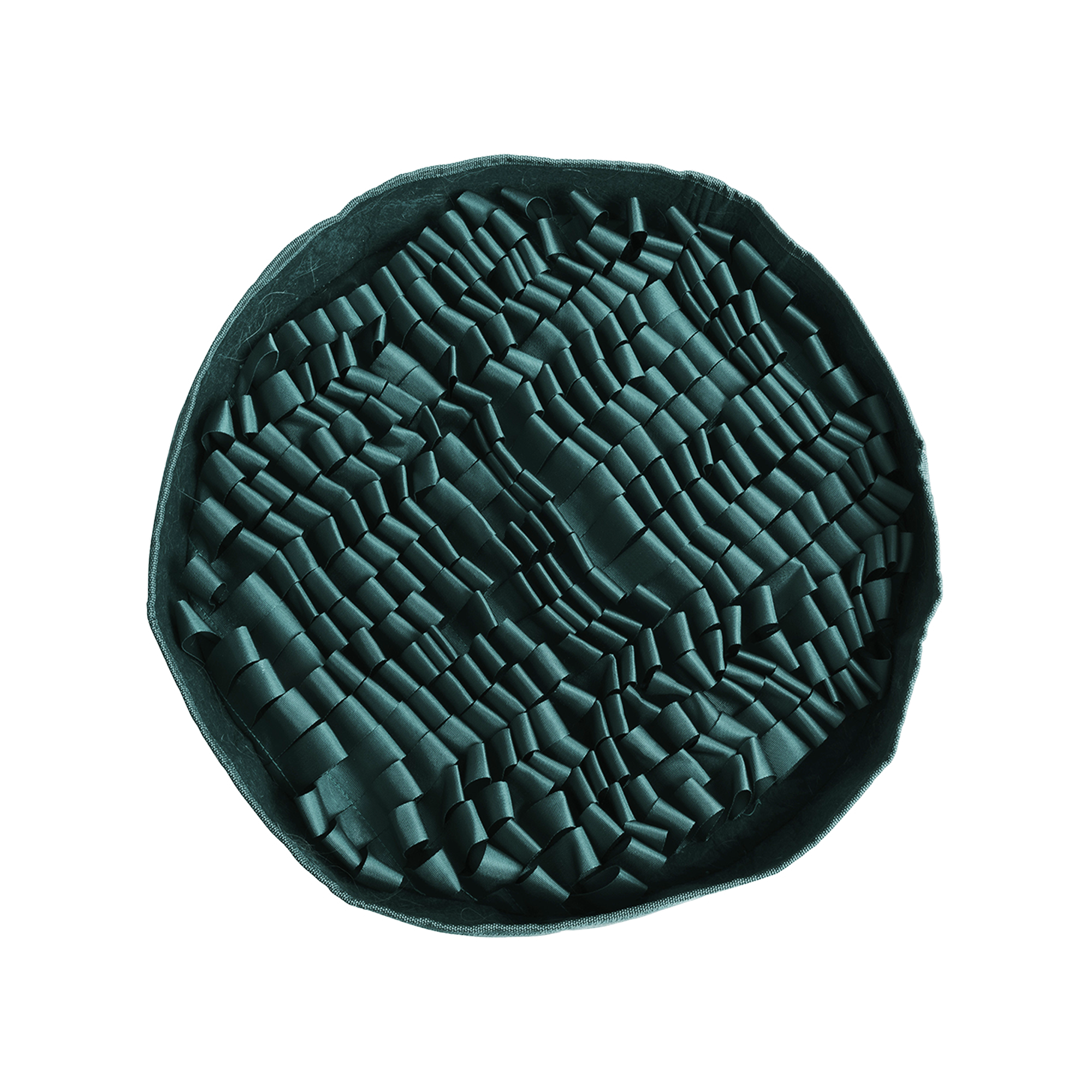 Container of heart-shaped dog chews for skin and coat health.