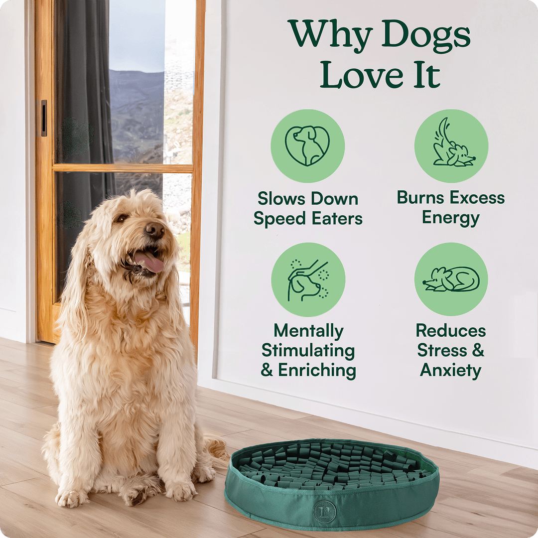 High-Protein Snuffle Mat Bundle