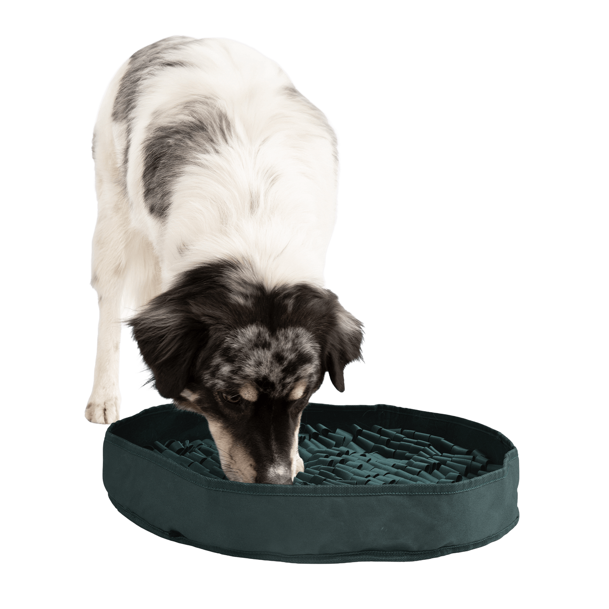 Stimulating Feeder Mat