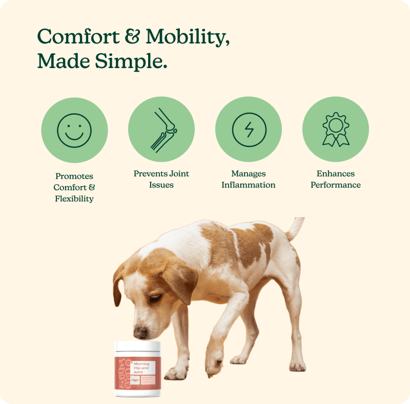 Morning Hip + Joint Chews