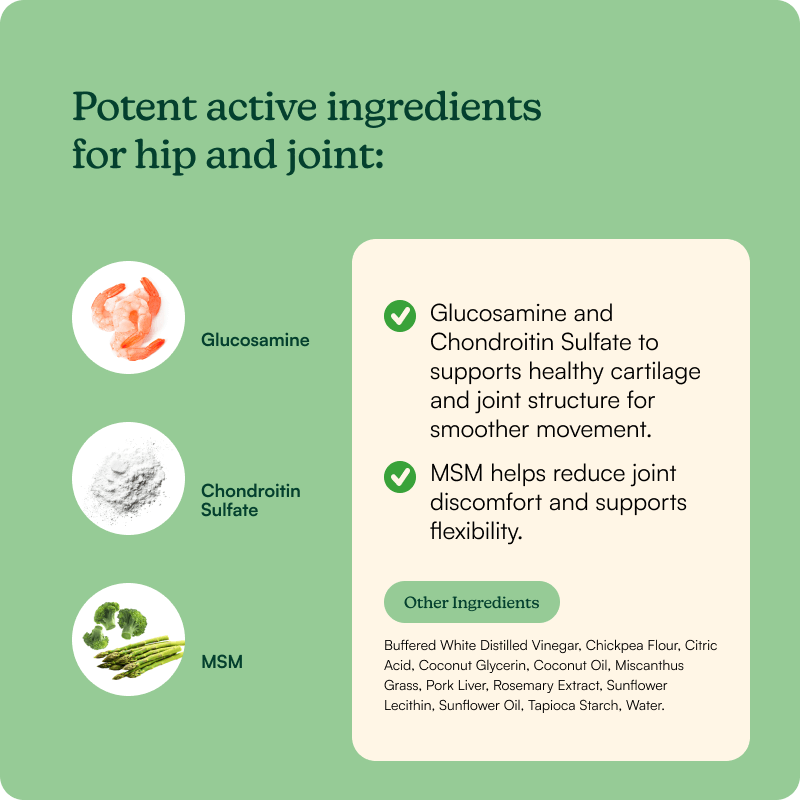 Morning Hip + Joint Chews