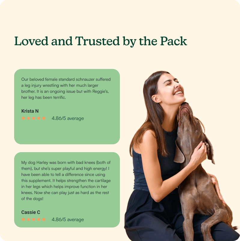 Morning Hip + Joint Chews