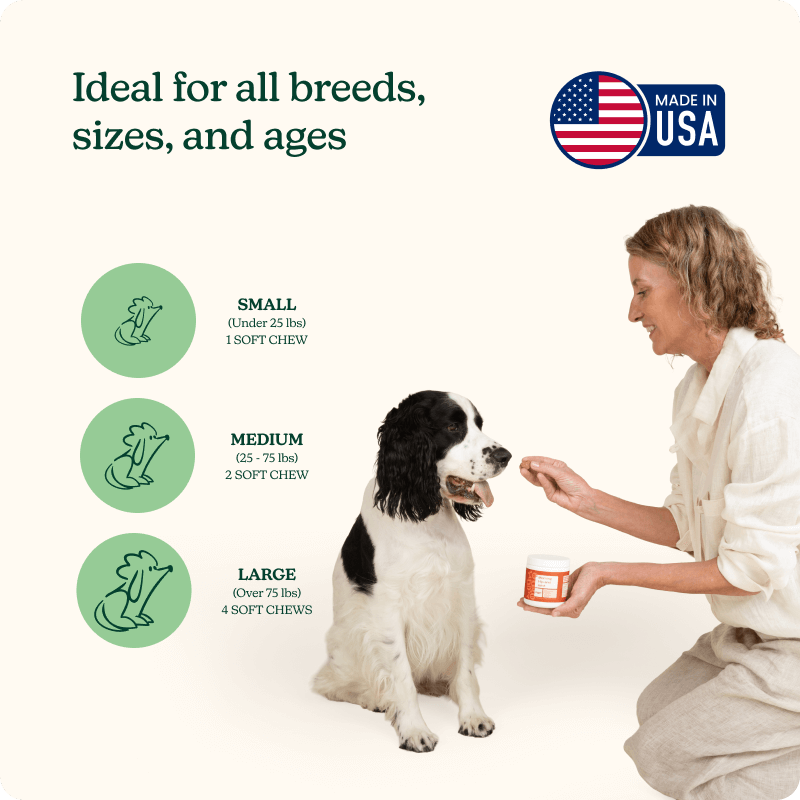 Morning Hip + Joint Chews