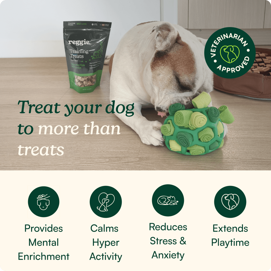 Snuffle Ball For Dogs