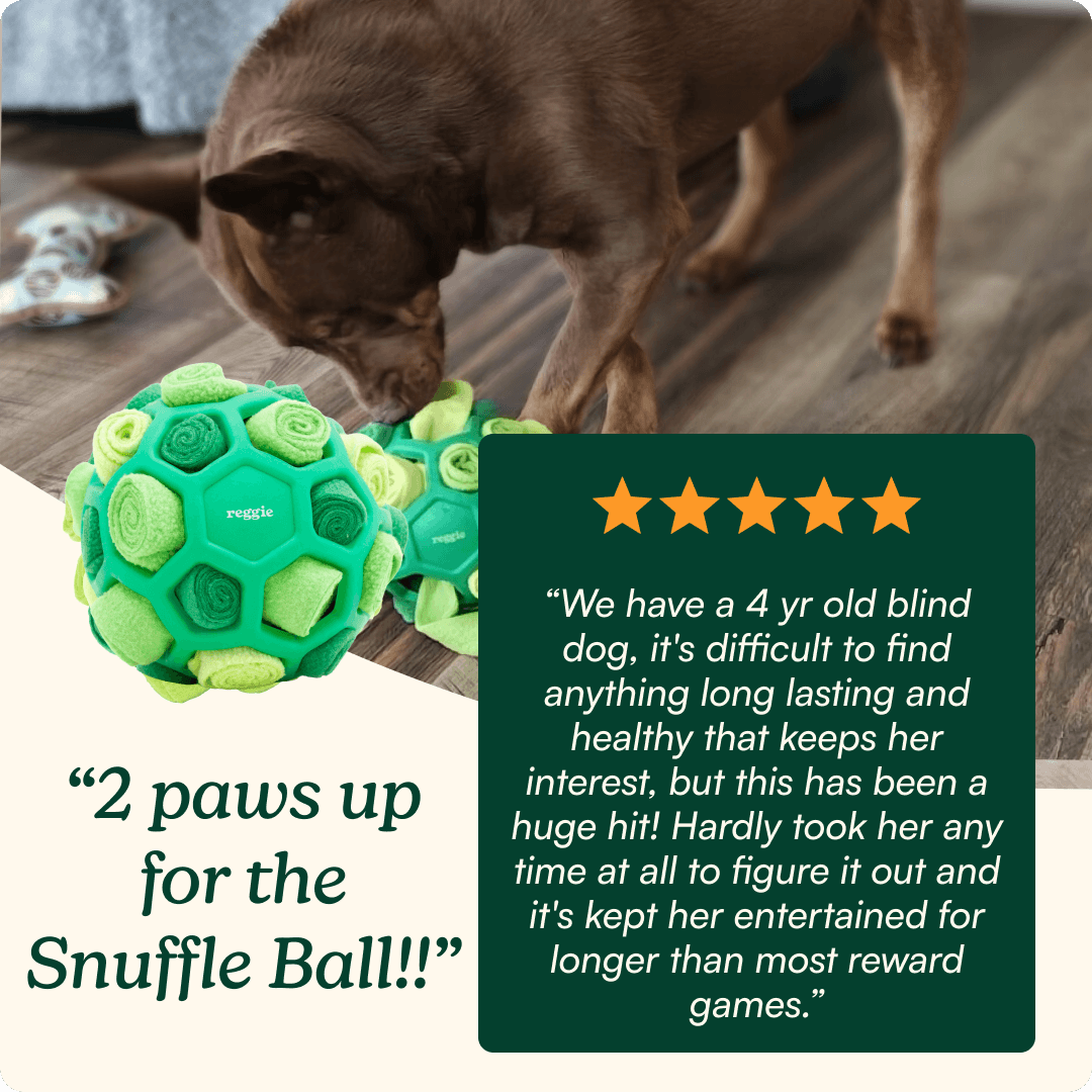 Snuffle Ball For Dogs