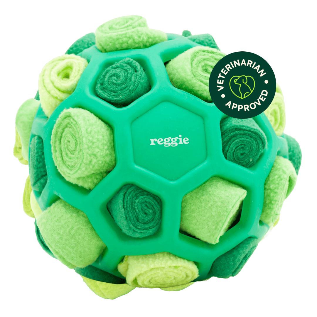 Snuffle Ball For Dogs