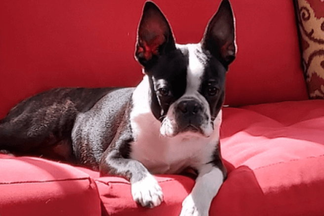 Winnie