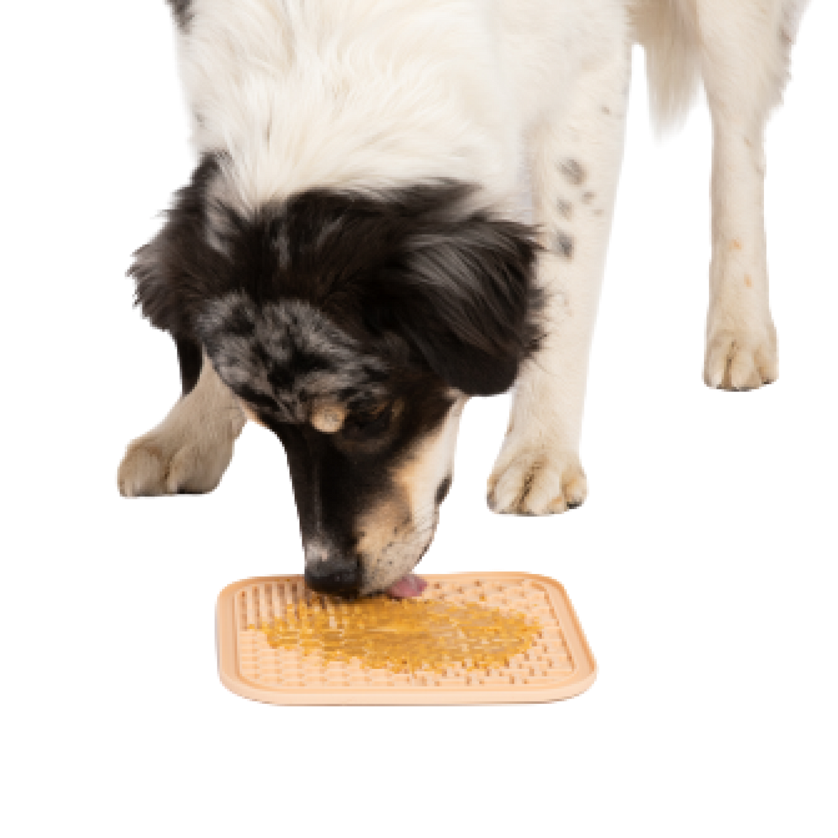 Dog Peanut Butter + Lick Pad for Dogs | Freezer Friendly Lick Pad for Dogs  | Poochie Butter