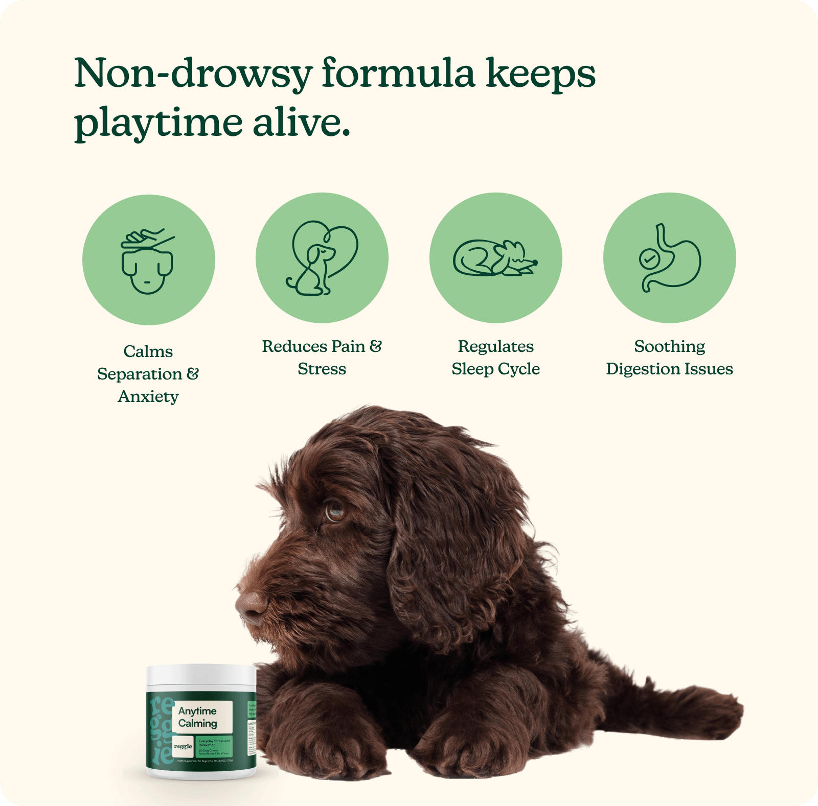 Anytime Calming Chews