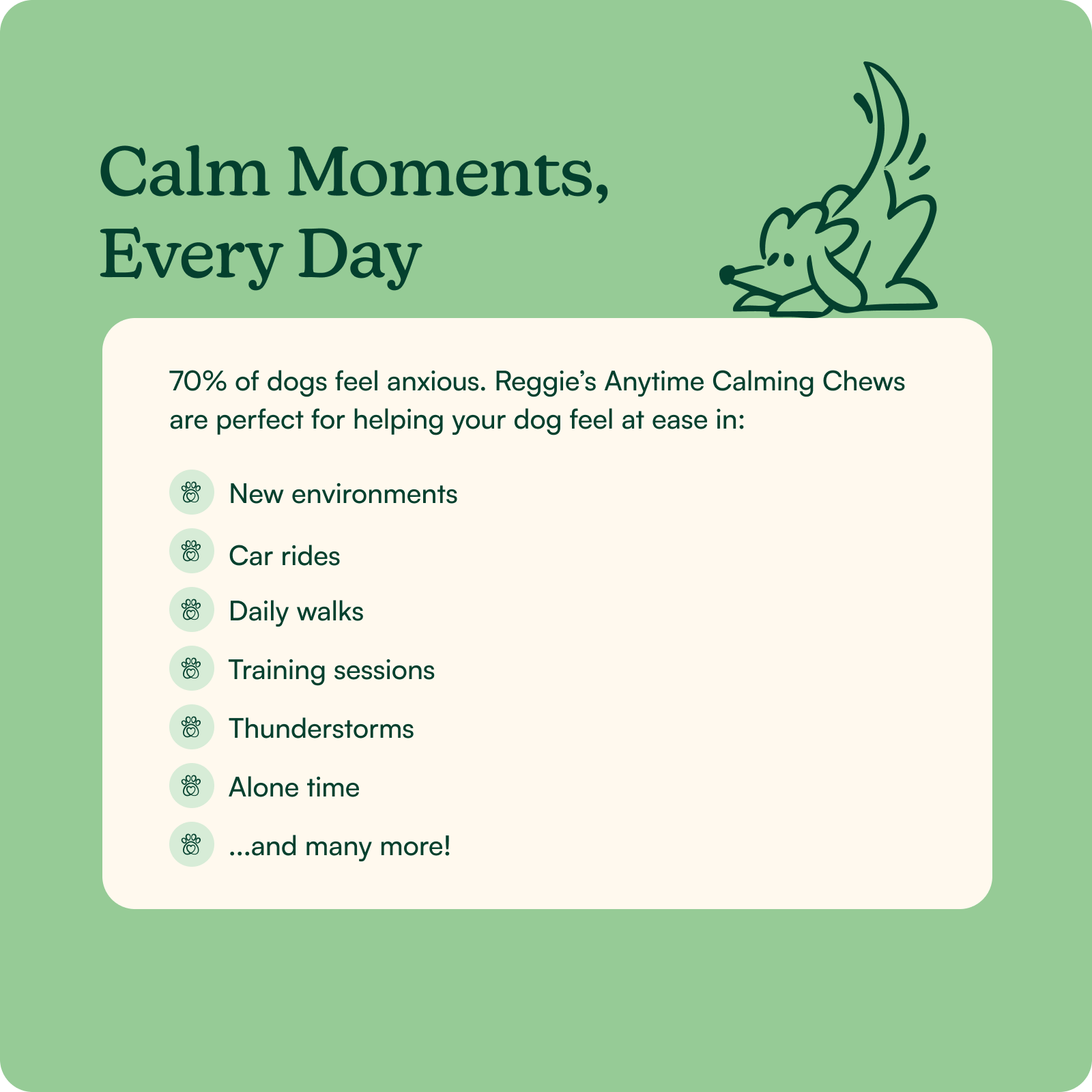 Anytime Calming Chews