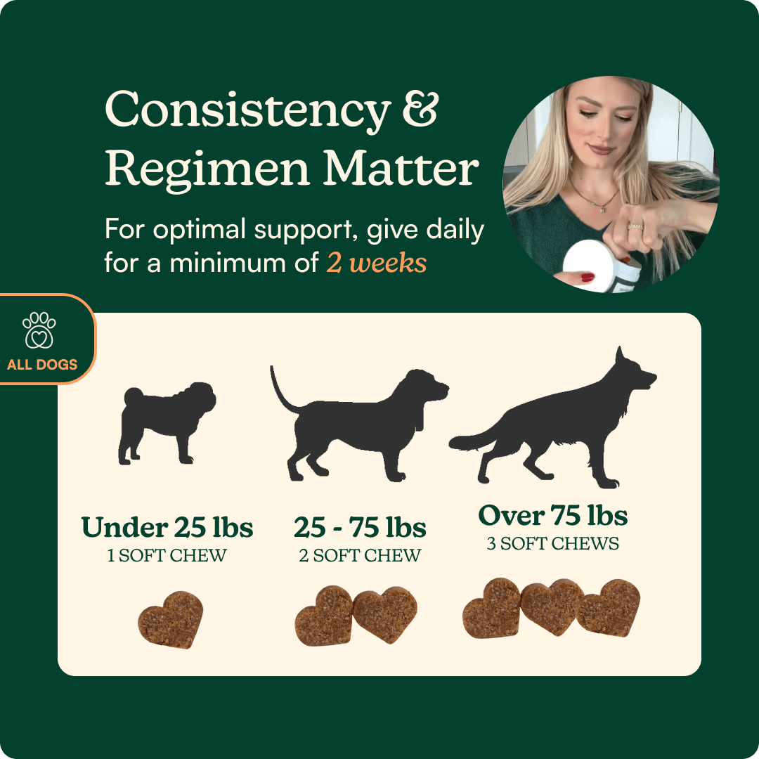 Anytime Calming Chews