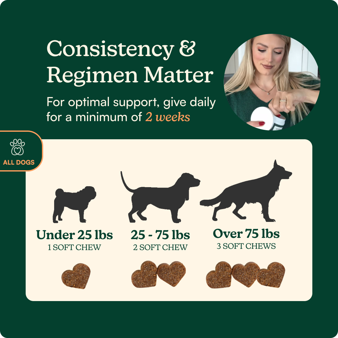 Anytime Calming Chews