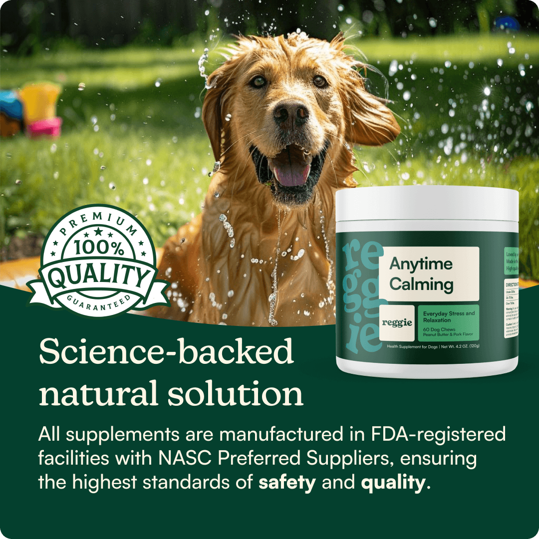 Anytime Calming Chews