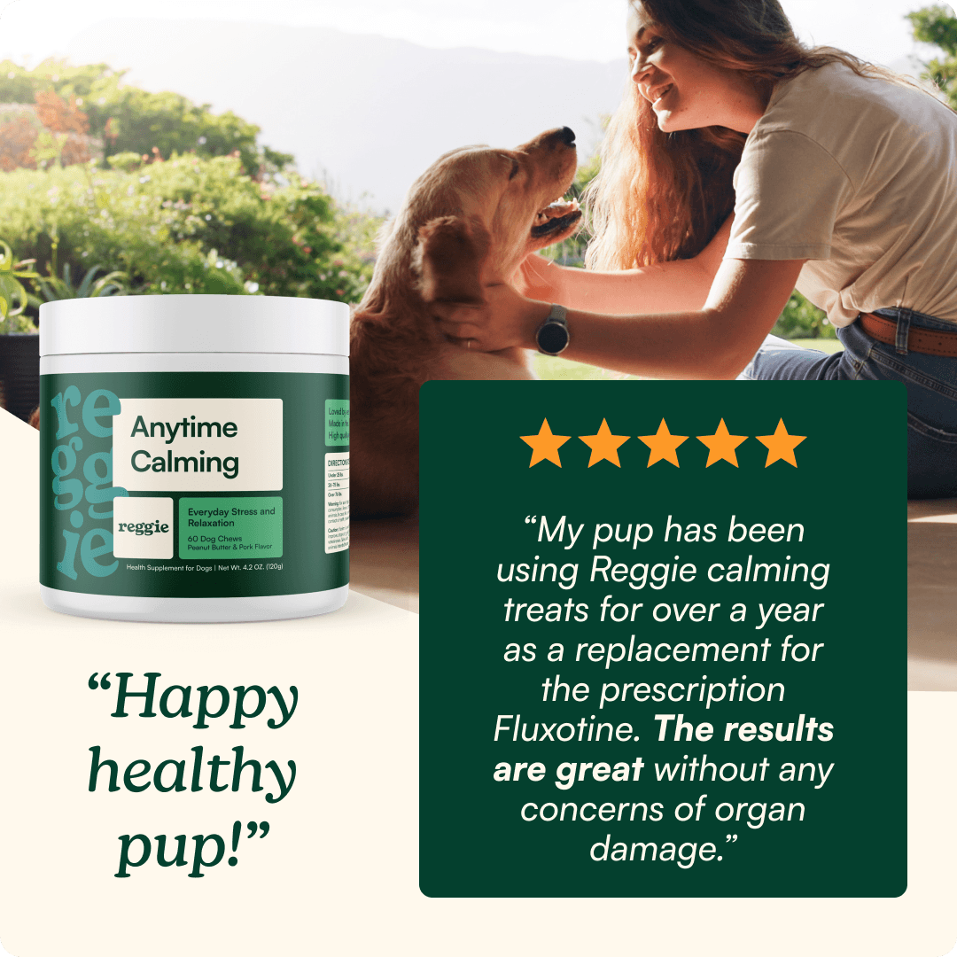 Anytime Calming Chews