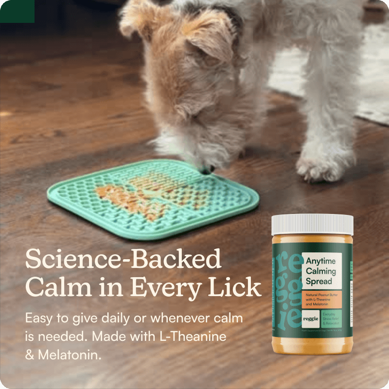 Anytime Calming Spread