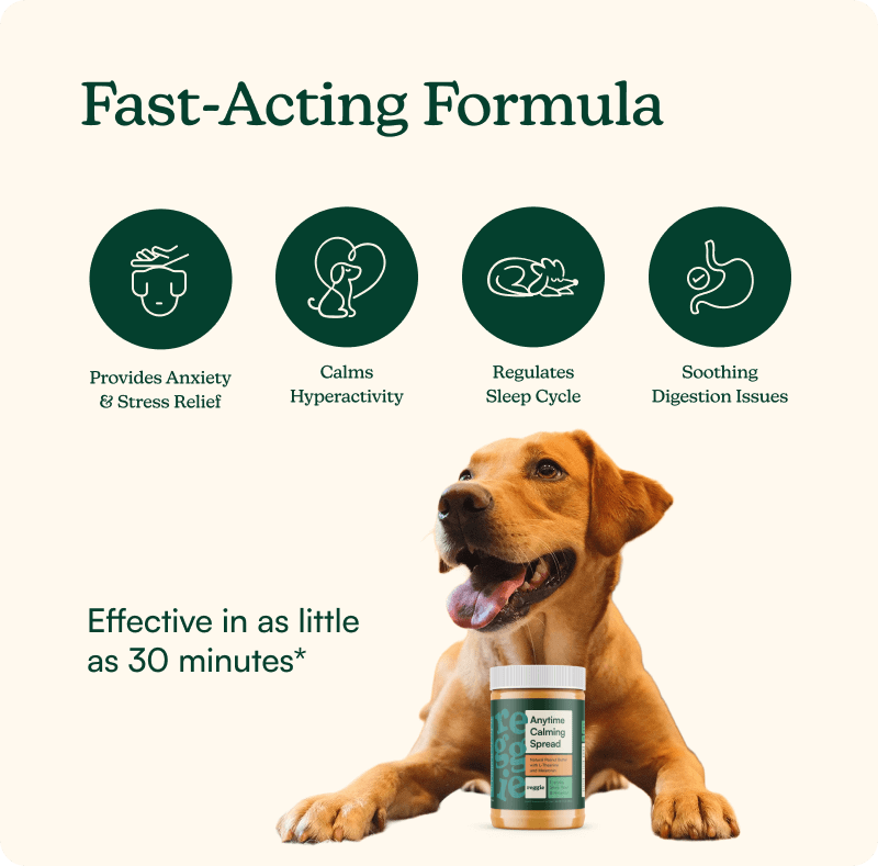 Anytime Calming Spread