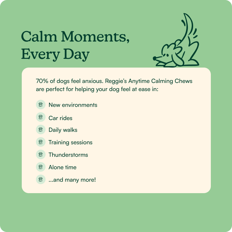 Anytime Calming