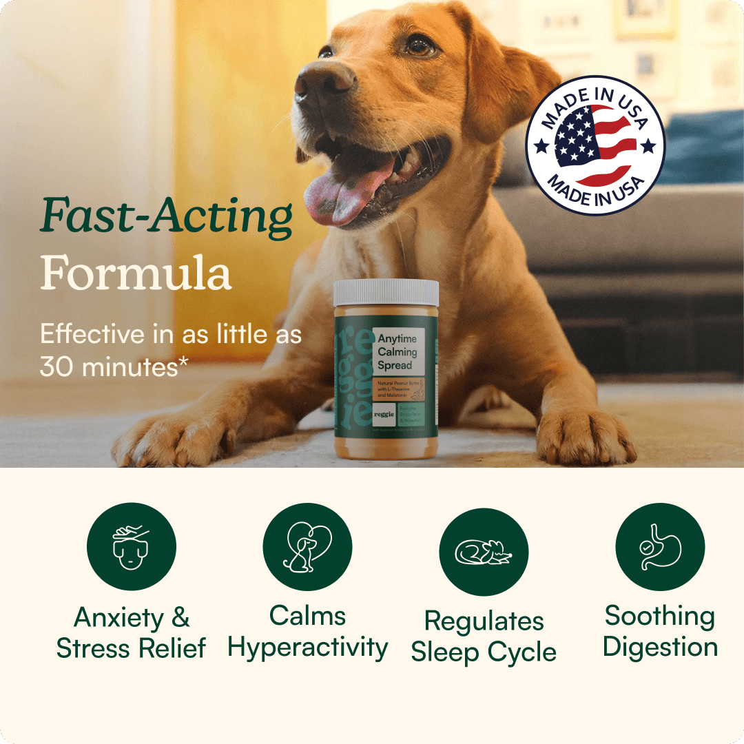 Anytime Calming Spread