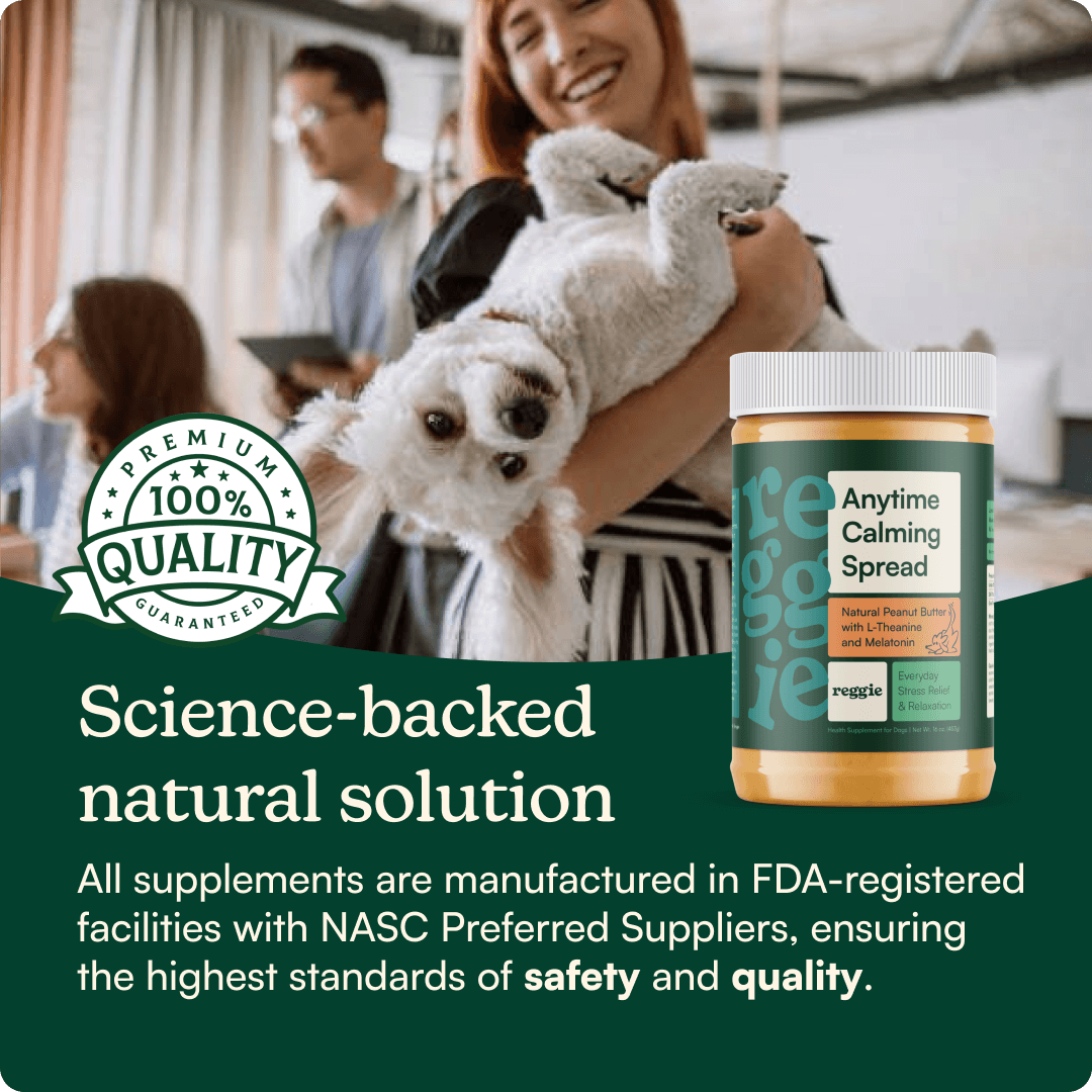 Anytime Calming Spread