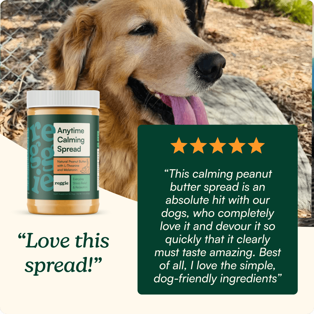 Anytime Calming Spread