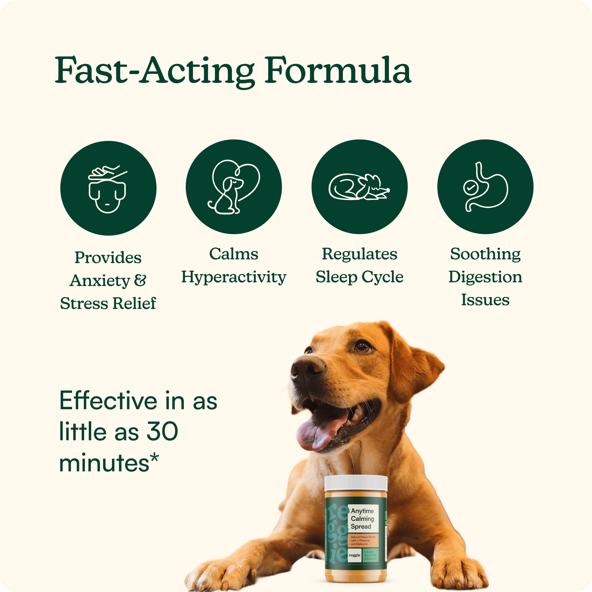 Anytime Calming Spread