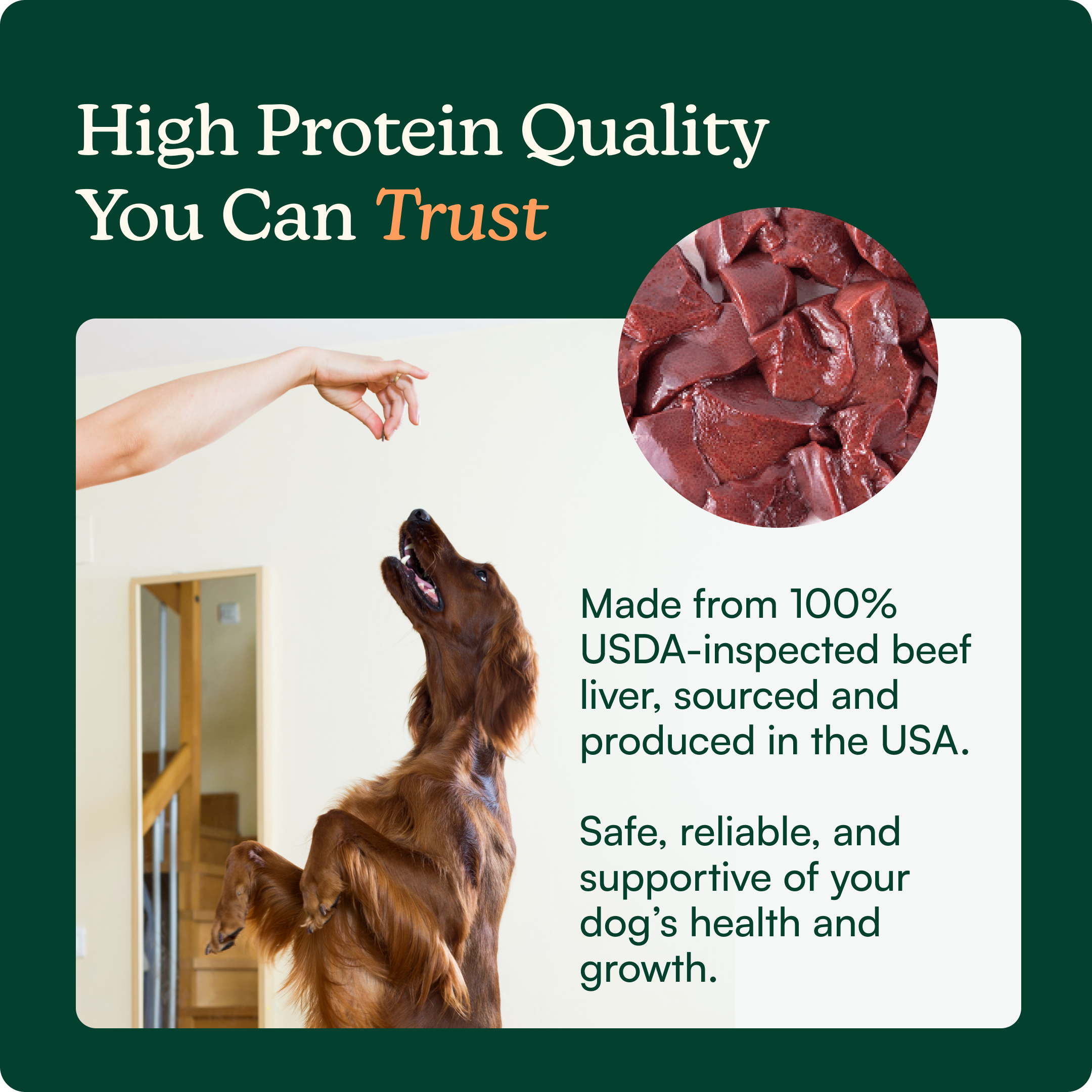 High-Protein Snuffle Mat Bundle