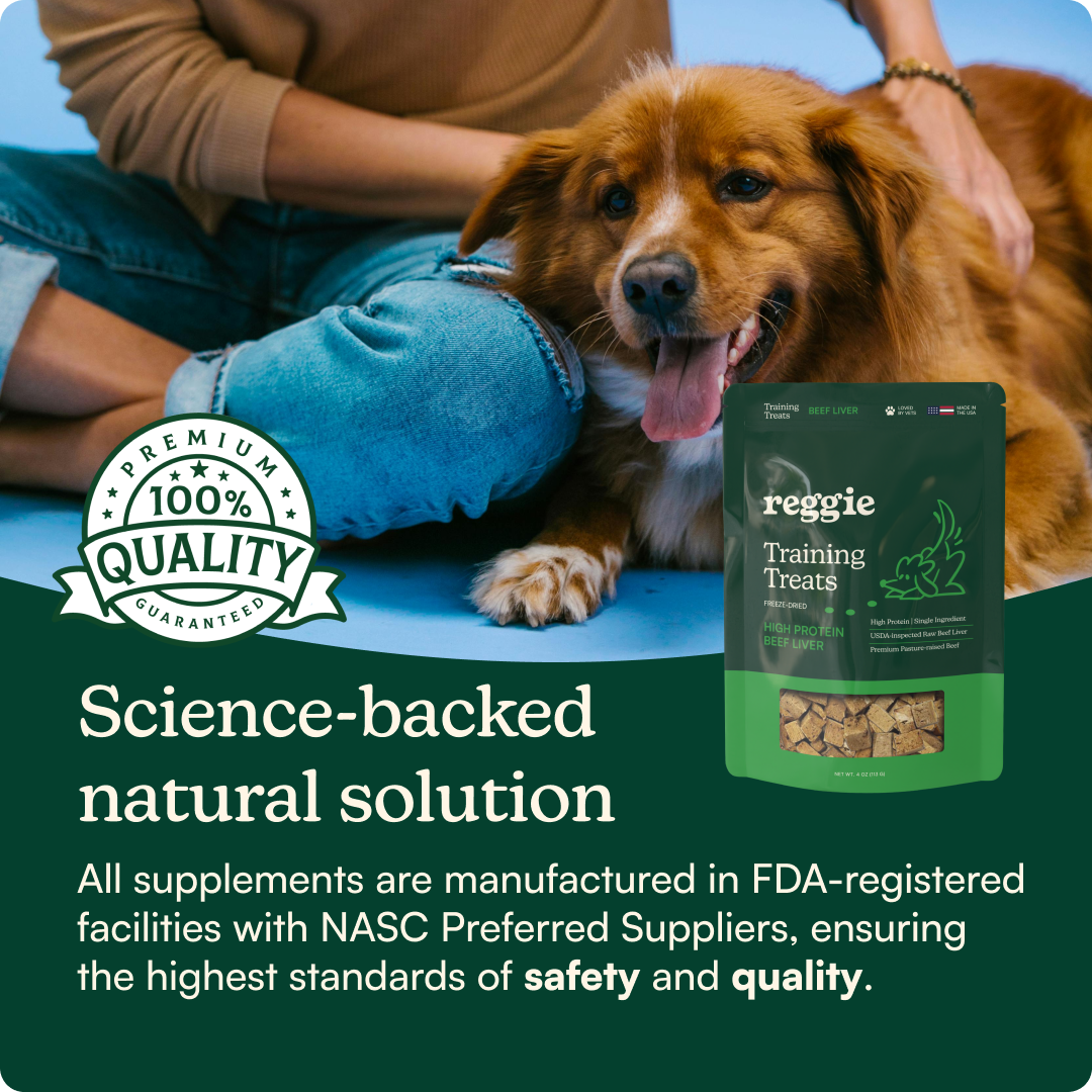 High-Protein Snuffle Mat Bundle
