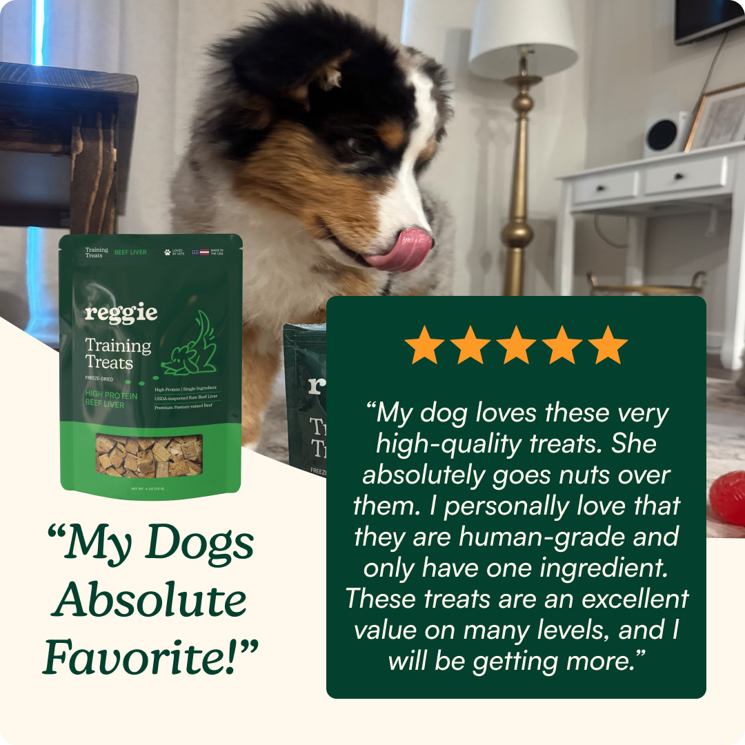 High Protein Beef Liver Training Treats