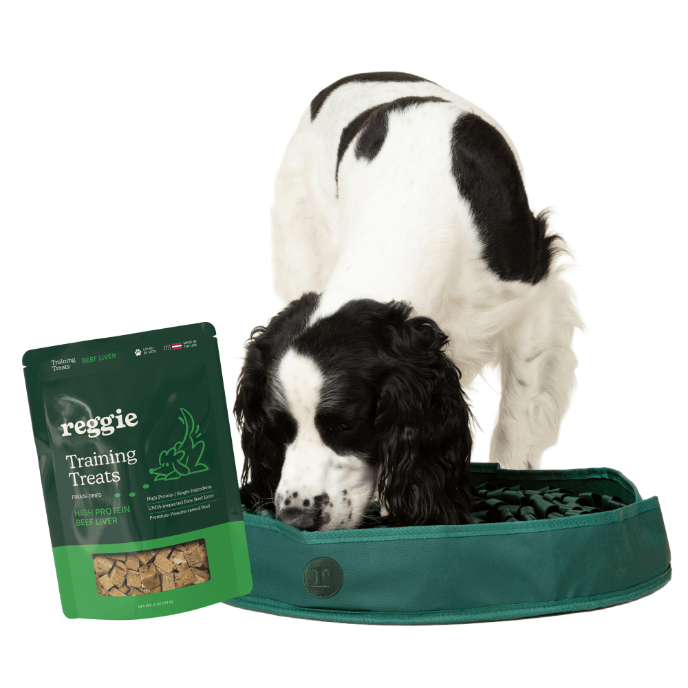 High Protein Beef Liver Training Treats