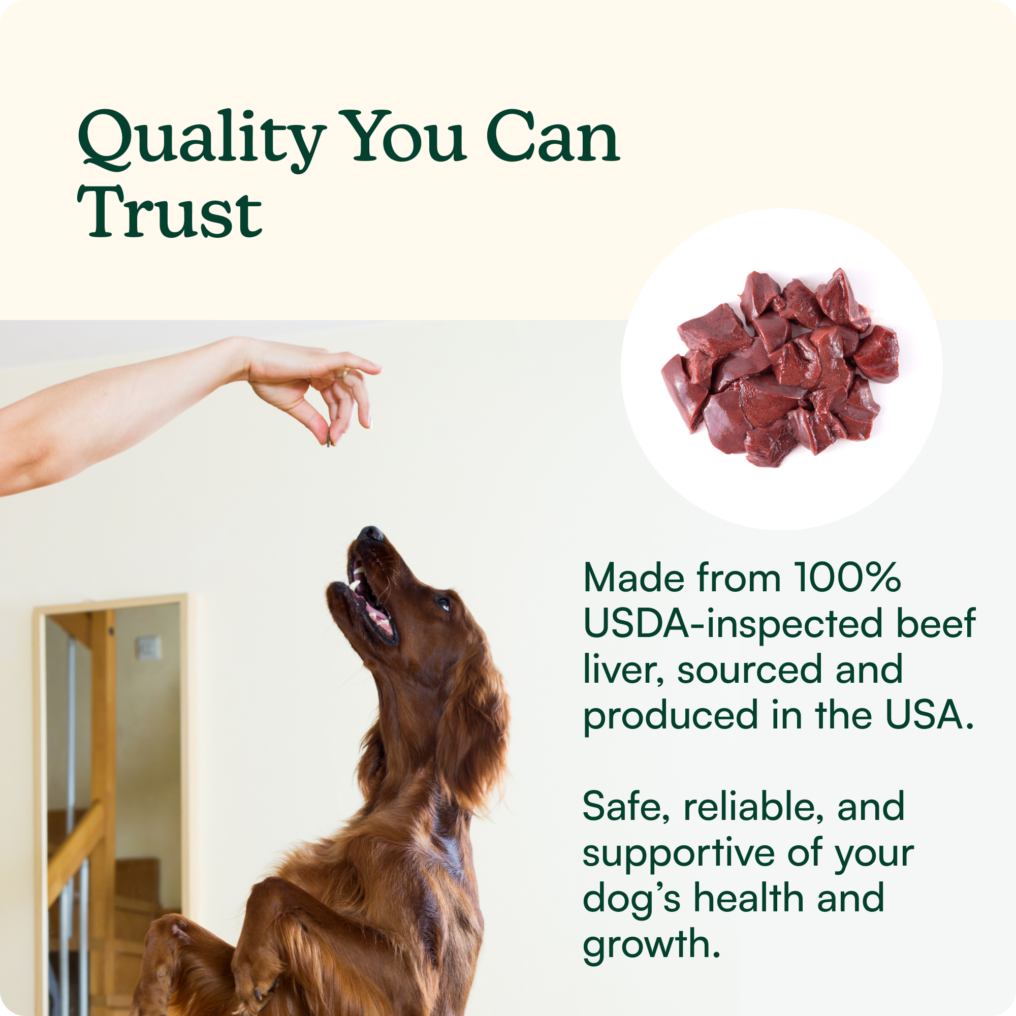 High Protein Beef Liver Training Treats