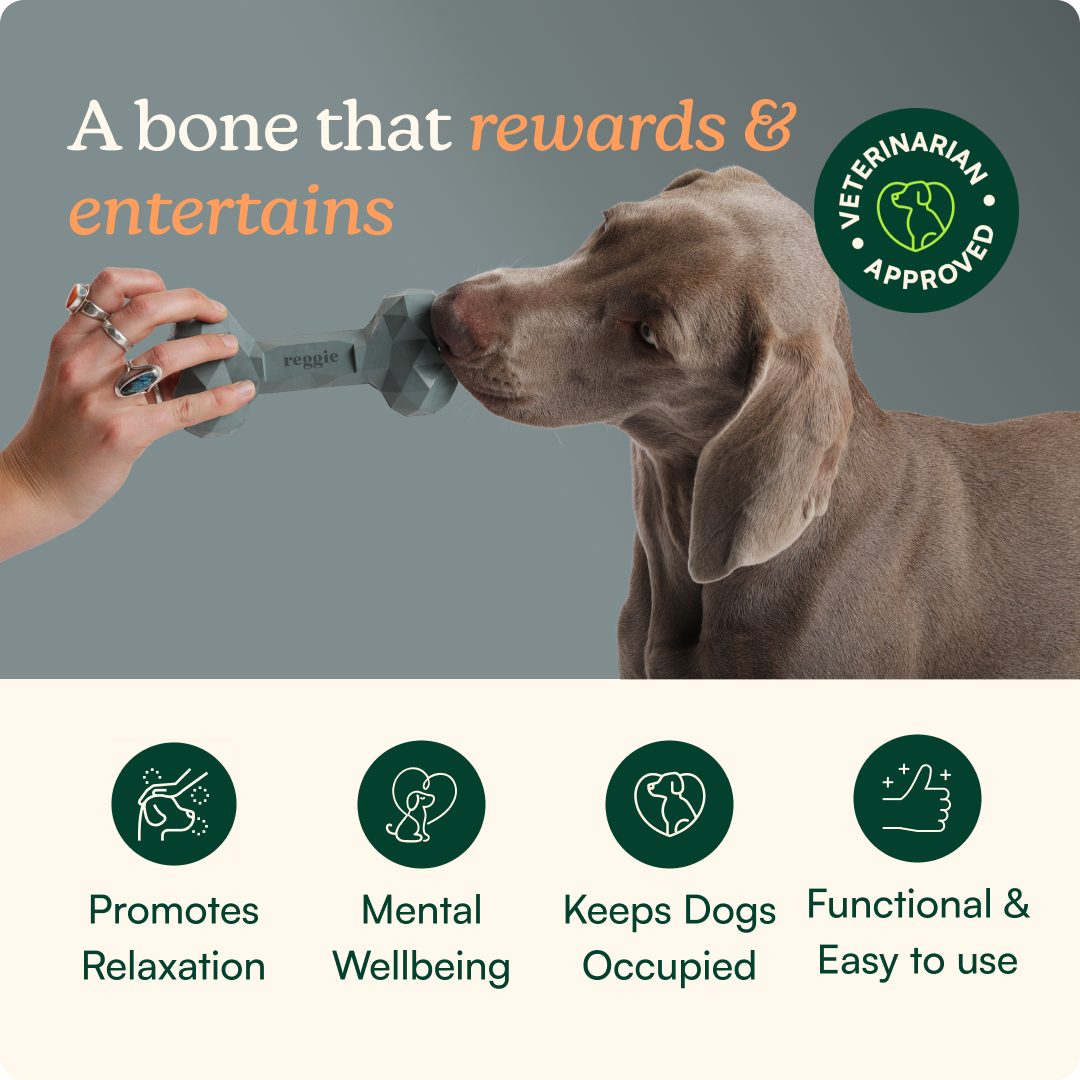 Calming Bone