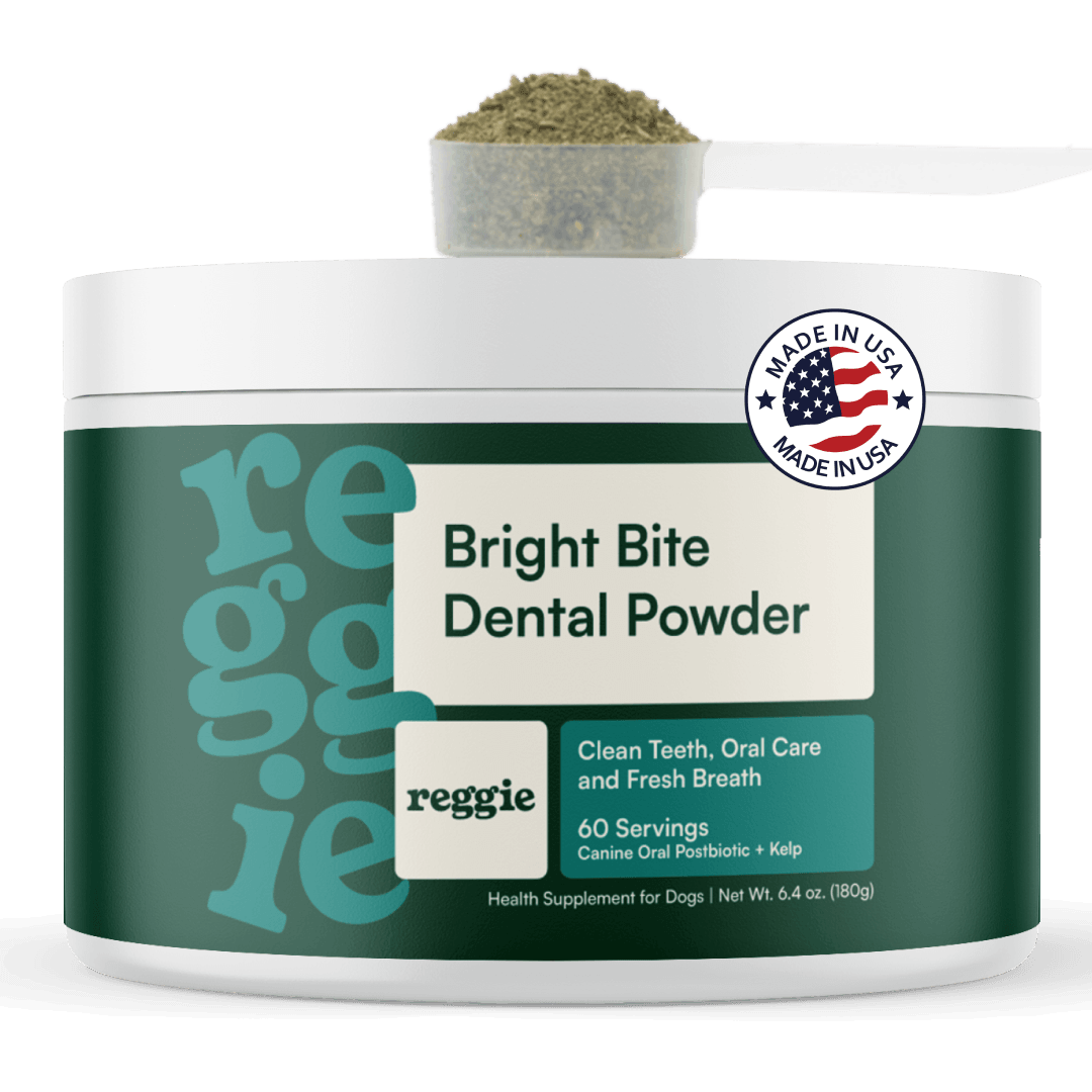 Bright Bite Dog Dental Powder