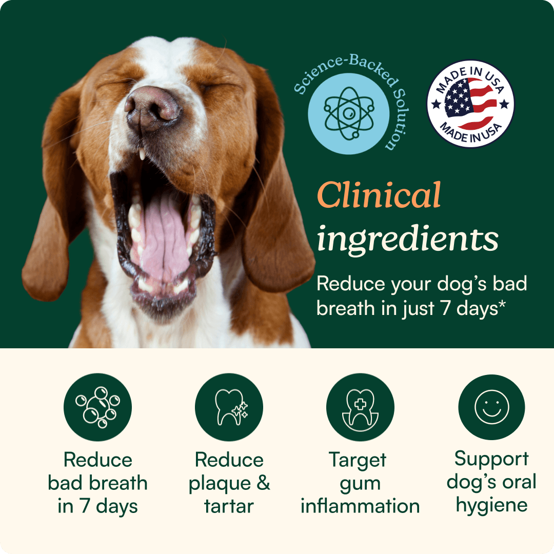 Bright Bite Dog Dental Powder