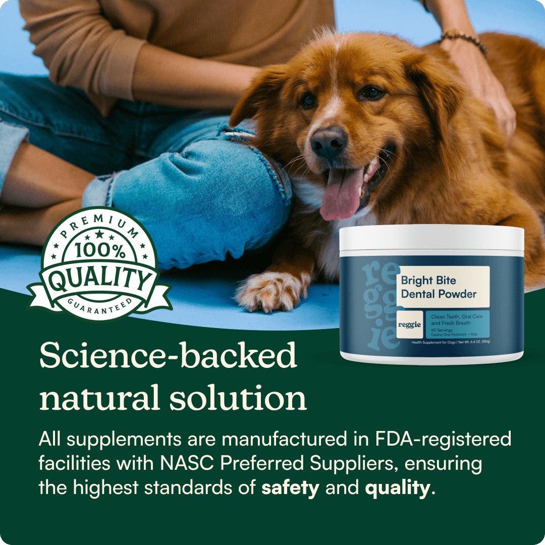 Bright Bite Dog Dental Powder
