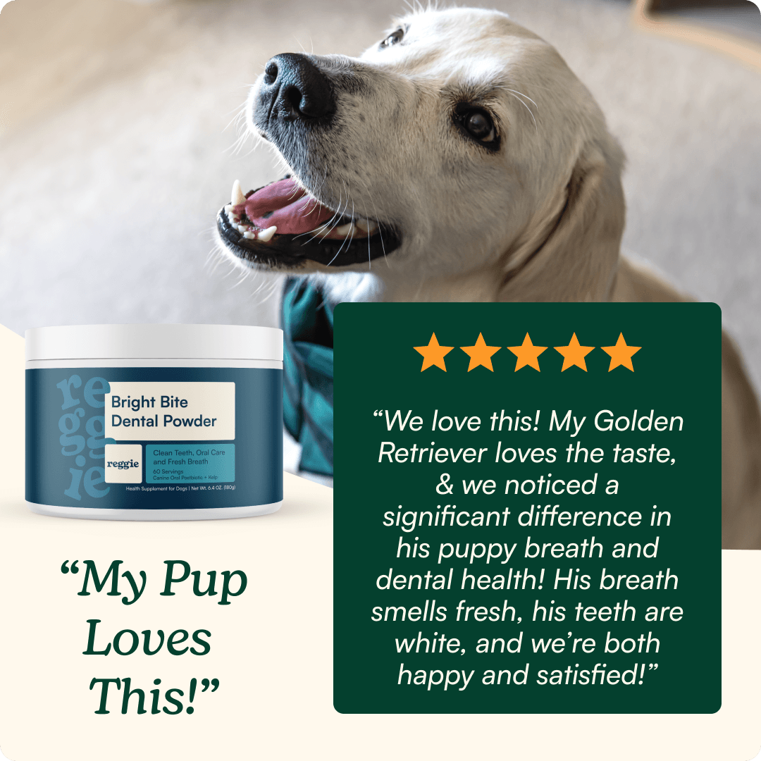 Bright Bite Dog Dental Powder