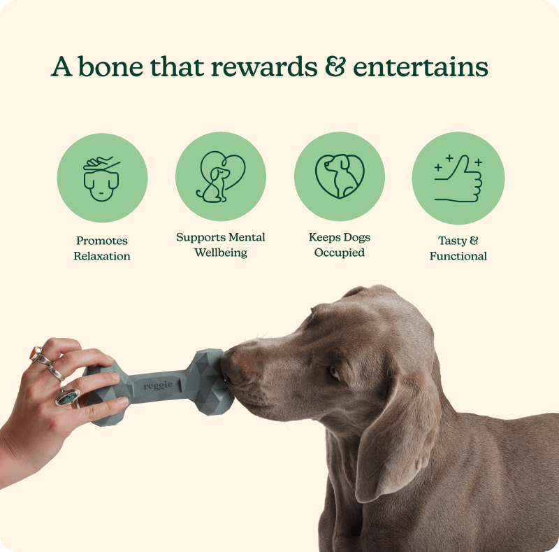 Calming Treat Bone
