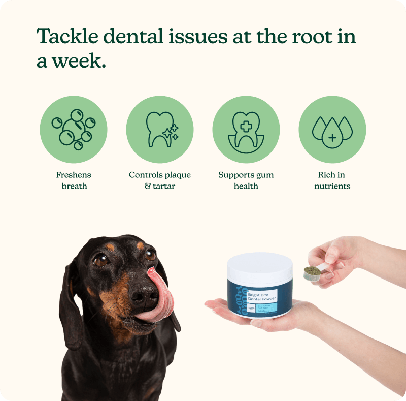 Bright Bite Dental Powder