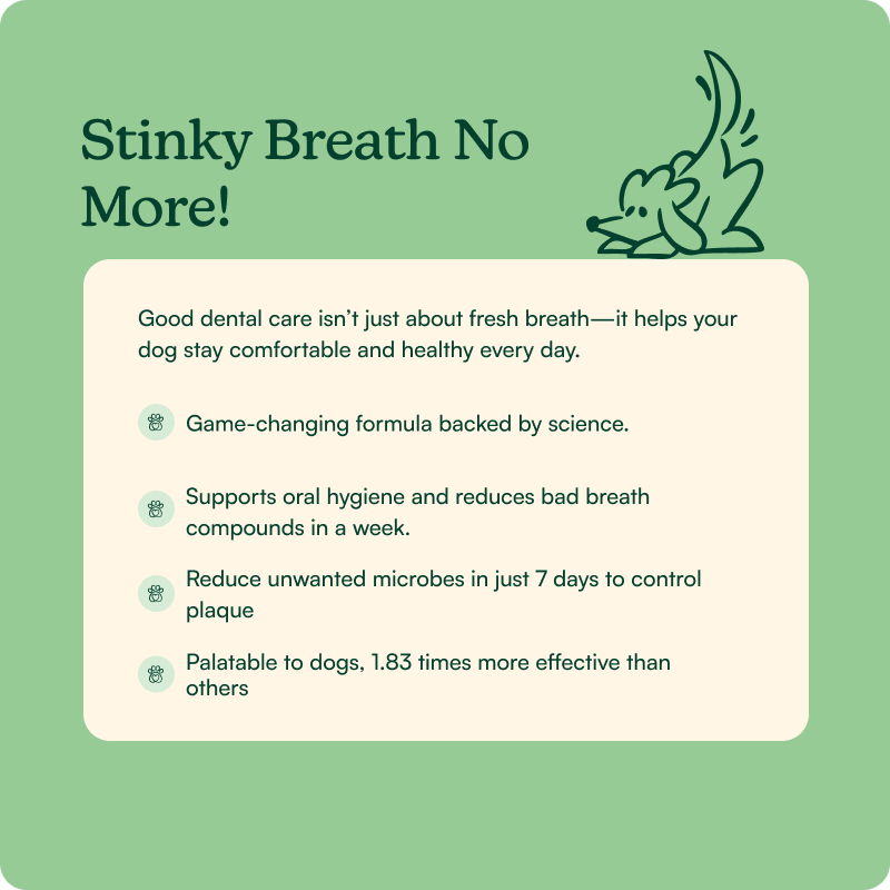 Bright Bite Dental Powder