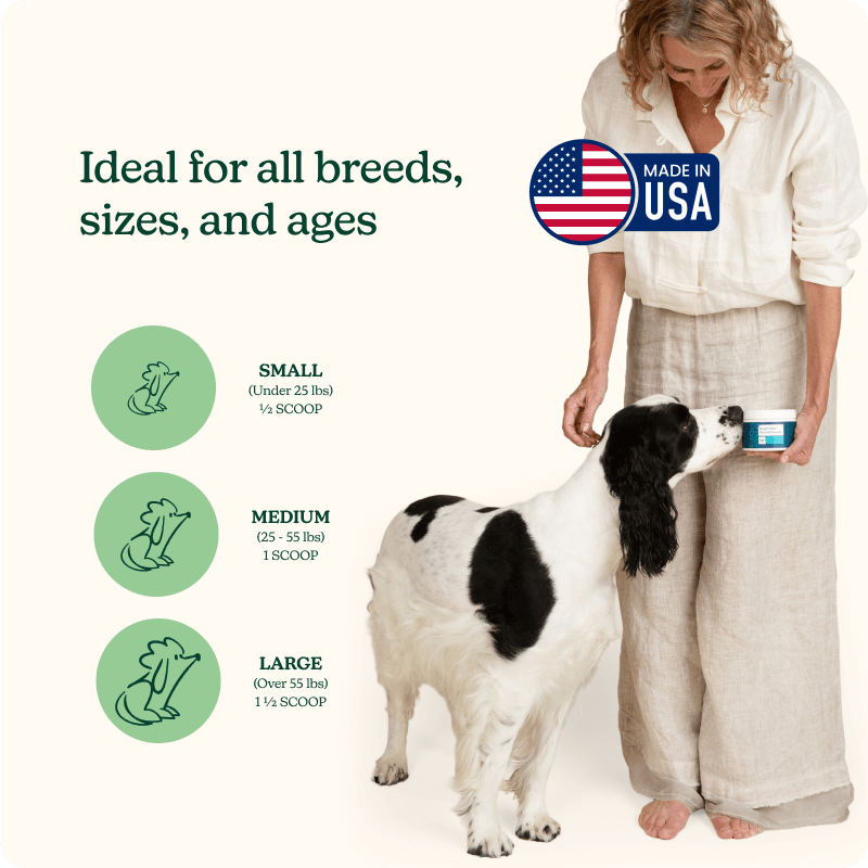 Bright Bite Dental Powder