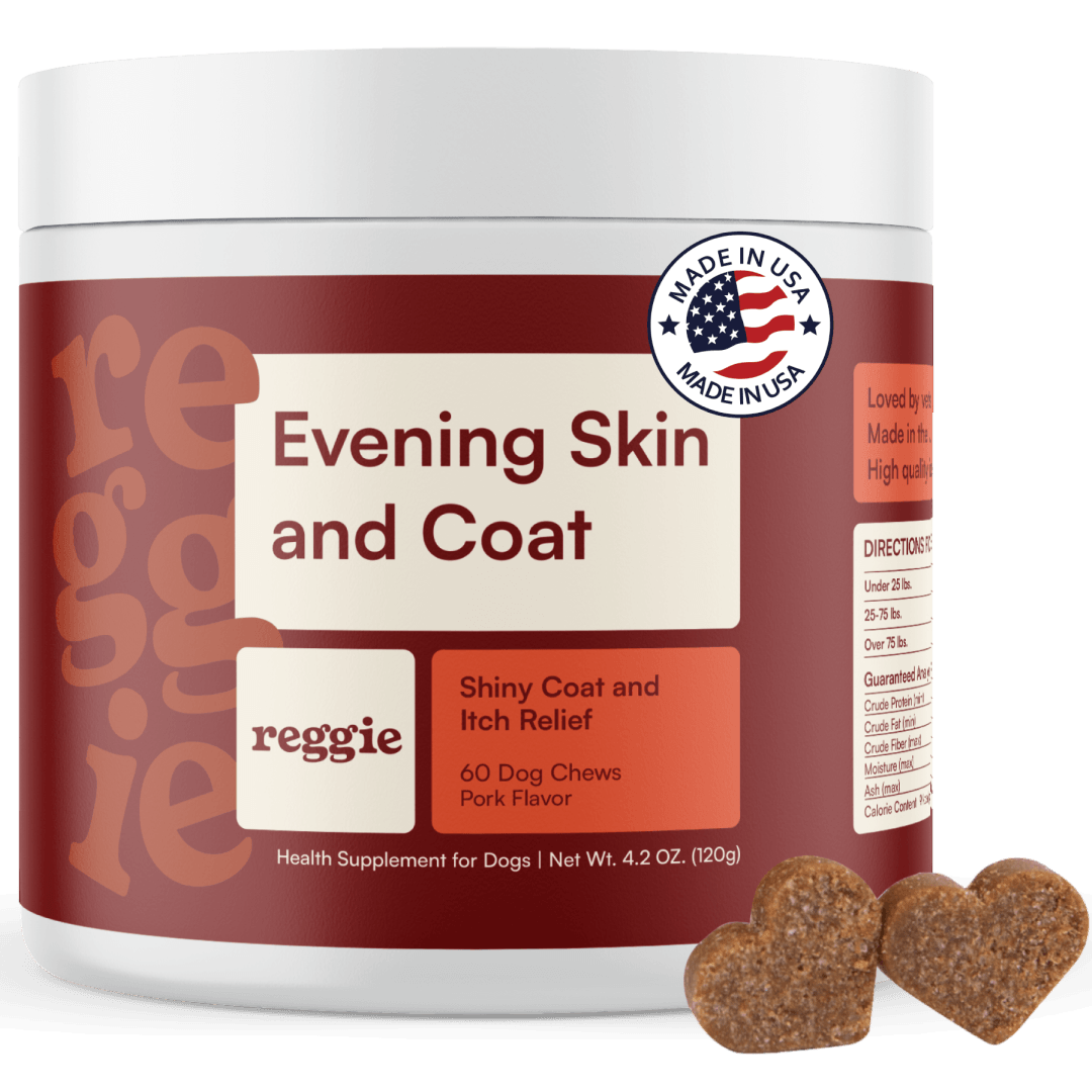 Evening Skin + Coat Chews